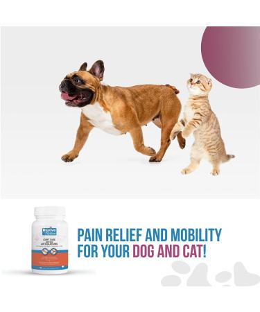 Revive Active Joint Care Tablets for Dogs and Cats 120ct Relieves Inflammation Promotes Optimal Growth and Development Joint Mobility and Good Health. Tablets 120ct - Buy Online on GoSupps.com