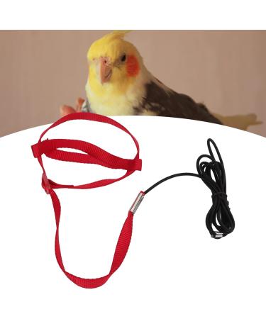 Cyrank Adjustable Bird Dishes & Leash for Outdoor Training - Perfect for Nymphensittich Alexandriner & Scarlet Red Birds - Shop Now! - Buy Online on GoSupps.com