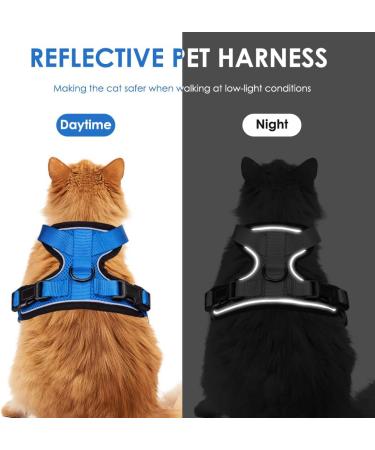 Breakproof Cat Dishes & Adjustable Kitten Vest Set - Reflective Stripes for Small Kittens (Blue XXS) - International Shipping - Buy Online on GoSupps.com