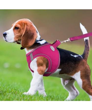 Joyal Reflective Soft Padded Dog Harness & Dishes for Medium Dogs - Air-Mesh Breathable Hot Pink XL (55-61cm) - Buy Online on GoSupps.com