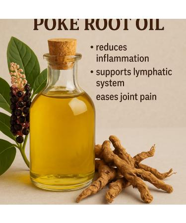 Poke Root Castor Oil Extract 1oz Organic Cold Pressed Castor Oil - Buy Online on GoSupps.com