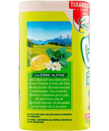  Italian Gourmet E.R. Perfetti Golia Lime Lollipops Unsweetened with Herbal Extracts and Lemon 130g + Italian Gourmet Polpa 400g Set of 6 - Buy Online on GoSupps.com