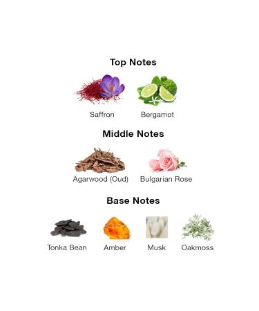 Arabian Long Lasting perfume Luxury Gift for Him & Her Woody Amber notes Unisex Extrait De Parfum - 100 ml For Men & Women. - Buy Online on GoSupps.com