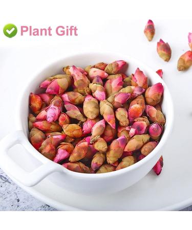Plant Gift Wlid Peach Blossom Flowers Health Tea Marigold Tea Pure Herbal Tea Peach Blossom Tea Caffeine-Free No GMOs Chinese Tea 70g/2.46oz - Buy Online on GoSupps.com