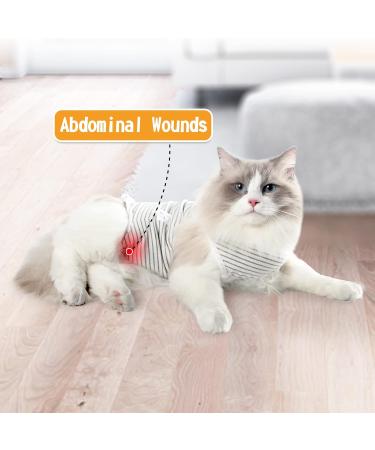 Dotoner Cat Recovery Suit - Surgical Shirt for Belly Wounds Soft Medical Clothing (Gray Size S) - Alternative to Cone for Post-Surgery Comfort - Buy Online on GoSupps.com