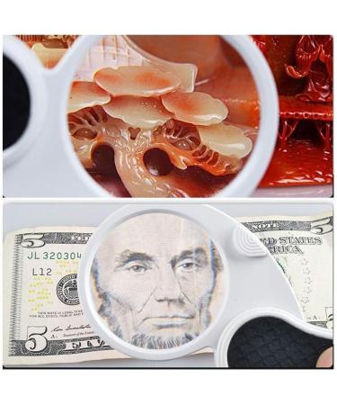 Magnifiers for Craft Work Reading Magnifier with LED Electronic Repair Magnifying Glass Magnifying Glass for The Elderly 5 Times Folded Hand Magnifying Glass Vision - Buy Online on GoSupps.com