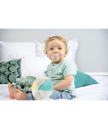 Buy AV2022-TIGEX-TIEX Silicone Pacifier Set | 18-36 Months BPA Free | Day & Night Use | 3 Multicolored Bee Designs | International Shipping - Buy Online on GoSupps.com