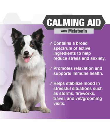 Nootie PROGILITY Daily Soft Chew Supplements for Dogs - Calming, Hip & Joint, Multivitamin, Urinary, Skin and Coat - 90 ct - Buy Online on GoSupps.com