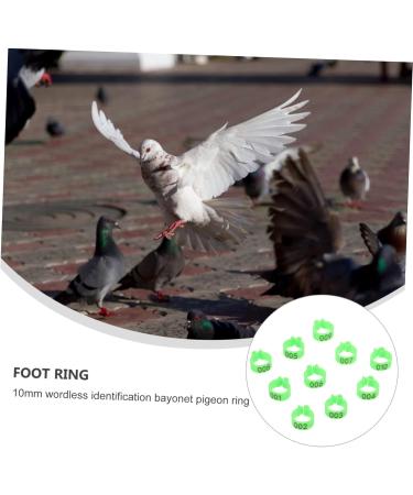 Toddmomy 300 Pcs Pigeon Anklet Chicken Legs Tag Pet Bird Leg Foot Ring for Pigeon Cuff Baby Chicken Foot Ring 1.3X1.3CMx3pcs Greenx3pcs - Buy Online on GoSupps.com