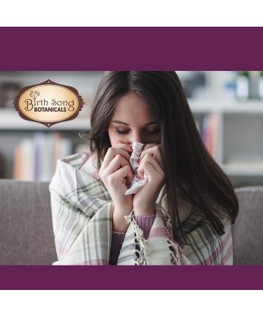 Birth Song Botanicals Elderberry Complex Tincture Respiratory and Immune Support Herbal Supplement 1 oz - Buy Online on GoSupps.com