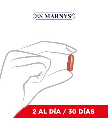  Marnys Marnys LIPOHELP 60 Vegetable Capsules Cholesterol Control Maintenance of Normal LDL-Cholesterol Levels in the Blood - Buy Online on GoSupps.com