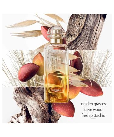 Hermes Un Jardin A Cythere Eau De Toilette Recharge-Refill Spray 6.7 Ounce (Unisex) Un Jardin A Cythere 6.7 Fl Oz (Pack of 1) - Buy Online on GoSupps.com