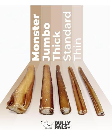 BULLY PALS - 7-8 inch Jumbo/Thick Bully Sticks - 6 Pack - Long Lasting All Natural Single Ingredient Dehydrated Dog Treats and Dental Chews - Buy Online on GoSupps.com