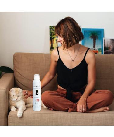 Kotomoda Probiotic Anti-Allergy Spray for Cats (50ml) - Relief for Cat Owners | International Shipping Available - Buy Online on GoSupps.com