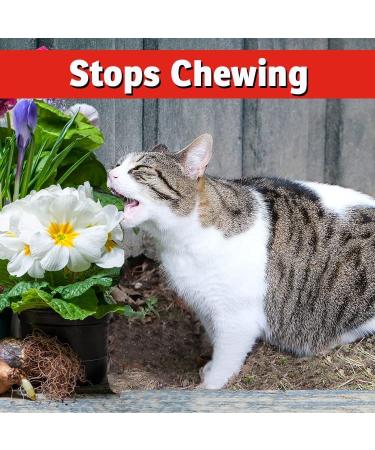 I Must Garden Dog and Cat Repellent 32oz Easy Spray - All Natural Solution to Stop Chewing and Repel Pets from Yards, Plants, and Gardens - Buy Online on GoSupps.com