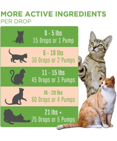 Organic Cat Probiotic Supplement for Digestive & Gut Health - Vegan, Non-GMO, Gluten Free | 4 Fl Oz - Buy Online on GoSupps.com