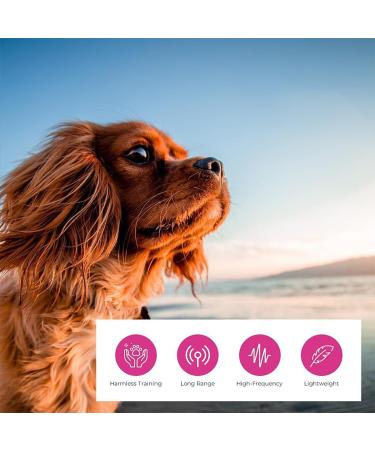 dog whistle no. 210.5 with whistle strap | Ideal for dog training | Food-Grade ABS Material | Standardized frequency | Loud and far-reaching - Buy Online on GoSupps.com