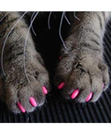 Pet Nail Caps - Anti-Scratch Medium Size Rose Red 20 Pack | International Shipping Available - Buy Online on GoSupps.com