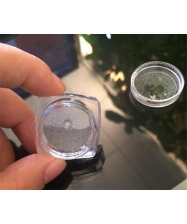 Pure Vie Nail Pigment Mirror Powder - 1g Glitter #6 | International Shipping Available - Buy Online on GoSupps.com