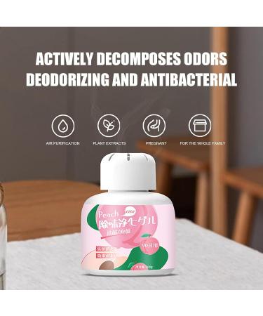 Solid Odor 200g Air Odor Gel - Solid Odor Remover Scent Air Freshener Absorbs Smell and Other Odors Ibuger - Buy Online on GoSupps.com