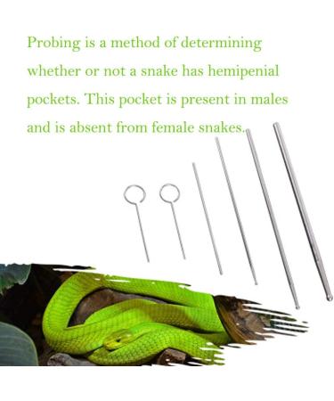 PETSTARCX 6 Pack Round Ball Tip Reptiles Snake Probe Portable Probe Kit - Buy Online on GoSupps.com