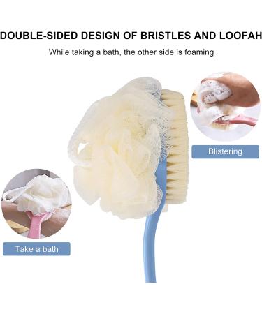 SetSail Shower Body Brush with Bristles and Loofah - Long Handle Back Scrubber for Men and Women - Exfoliating Shower Brush for Skin Massage - Buy Online on GoSupps.com