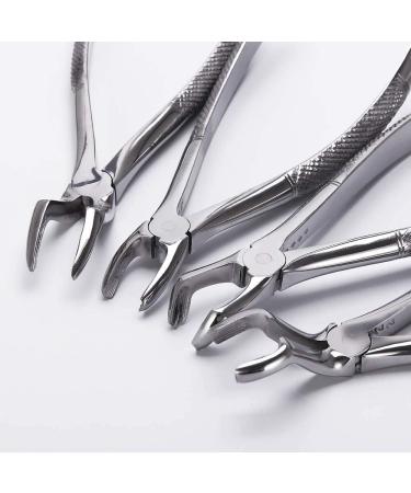 LMEILI Stainless Steel Tooth Extraction Forceps Kit - Dental Surgical Pliers for Adults | International Shipping Available - Buy Online on GoSupps.com