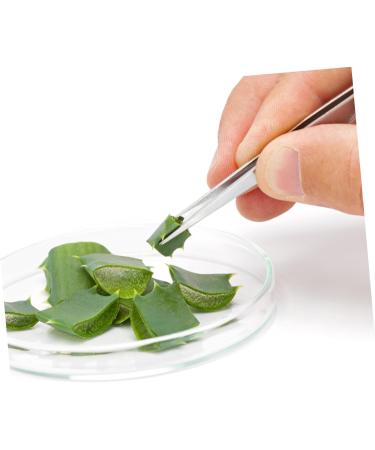 Minkissy 4-Part Set Tweezers for Eyelashes & Gardening - Stainless Steel Non-Slip Tools for Precision Planting & Splinter Removal - Buy Online on GoSupps.com