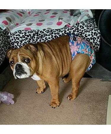 Glenndarcy Dog Diapers Without Tail Hole - XL Dotty Pink for Frenchies & Bulldogs - Premium Dog Pants - Buy Online on GoSupps.com