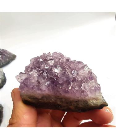 Natural Crystal Rough Amethyst Rough Stone Natural Big Raw Amethyst Quartz Purple Crystal Cluster Stones Home Decoration Crafts Amethyst Cluster Ornament (Color : Purple Size : 110-140g) 110-140g Purple - Buy Online on GoSupps.com