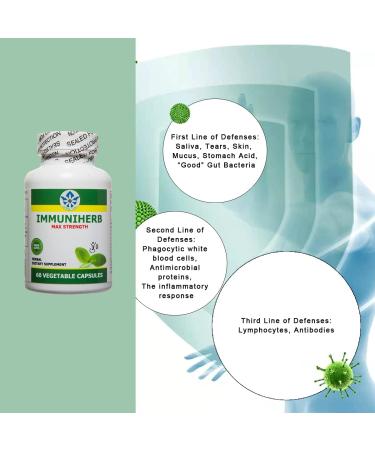 Immuniherb Immune Support Supplement Herbal Immunity Supplement with Ginger Forsythia Licorice Root Vitamin C & Zinc Natural Immune Boosters for Daily Support Non-GMO 60 Veg Capsules - Buy Online on GoSupps.com