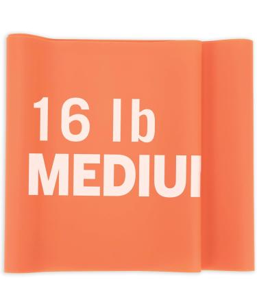 Everlast Stretch Bands (Set of 3) - Light Medium & Heavy Resistance Premium Latex Lightweight & Portable Perfect for Pilates Home Fitness Gym Bands & Accessories Great for Workout & Recovery - Buy Online on GoSupps.com