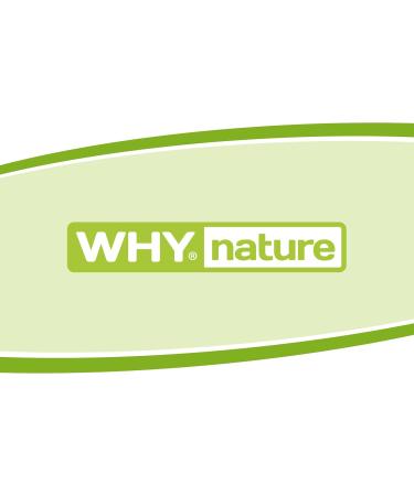 WHY NATURE WHY NATURE INSTANT OATMEAL FLOUR - Flavored Instant Oatmeal - Vanilla Flavour - Gluten Free - 1kg - Buy Online on GoSupps.com