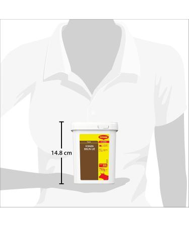 MAGGI Professional Dehydrated Brown Bonded Fund 750 g - Dehydrated Base - Sauce - Cooking Base - Box of 750 g for 15 L to 30 - Buy Online on GoSupps.com