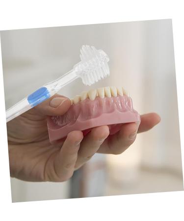 Buy Gleavi 15 StK Prosthesis Cleaning Brush - Double-Sided Toothbrush for False Teeth Care Tools | International Shipping Available - Buy Online on GoSupps.com
