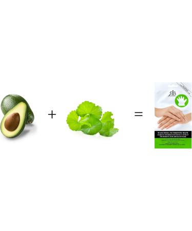 Royal Beauty AVOCADO NOURISHING HAND MASKS - PRE GLOVES WITH CARE - AVOCADO OIL MOISTURIZES HANDS - ASSOFTS SKIN AND CUTICLES - ROYAL BEAUTY - Buy Online on GoSupps.com