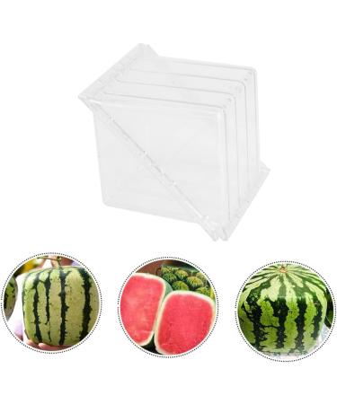 UKCOCO 2pcs Tool Vegetables Garden Shaping Molds Fruit Shaping Mould Pumpkin Ginseng Fruit Cucumber 15x15cmx2pcs Transparentx2pcs - Buy Online on GoSupps.com