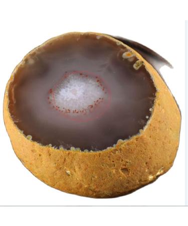 Crystal 200g-300g Natural Raw Crystals Apophyllite Stone Cluster Rough Stone Specimen Crystal Zeolite for Home Decoration 1pcs Can be Used for JIZTGEDM - Buy Online on GoSupps.com