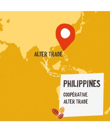 ALTER ECO - Muscovado Sugar Powder - Organic and Fair Trade Complete Sugar - Origin Philippines - 500g - Buy Online on GoSupps.com