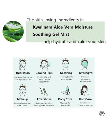 jNE California Grown Aloe Vera Soothing Gel Water | 4.23 Fl oz | 95% Pure | All-in-One for Face Body Hand Hair | Korean Skin Care - Buy Online on GoSupps.com
