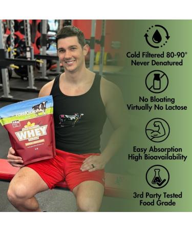 Pure Choice Vanilla Whey Protein Isolate Powder 28g Protein Undenatured Whey 3 Ingredients No Fillers Or Artificial Sweeteners. (Vanilla 2 lb) Vanilla 2 Pound (Pack of 1) - Buy Online on GoSupps.com