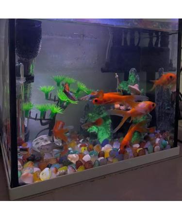 XPEX 100g Decorative Gemstones for Children | Healing Stones Crystals & Drumstones | Ideal Gift - Buy Online on GoSupps.com