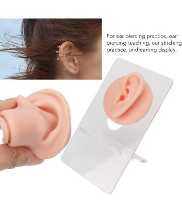3 Pairs of Soft Silicone Ear Models with Acrylic Holder - Perfect for Piercing Practice & Presentation - Buy Online on GoSupps.com