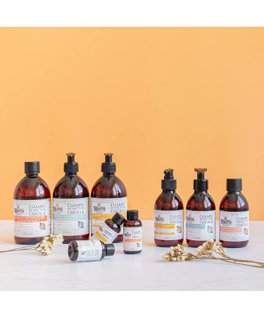  MI REBOTICA MI REBOTICA Sulphate-Free Onion Extract Shampoo 250 ml - Buy Online on GoSupps.com