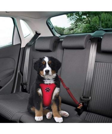 Slowton Dog Harness with Seat Belt for Car | Breathable Latex Network Tissue | Safety Harness for Everyday Sports | Vermilion Color | Size S - Buy Online on GoSupps.com