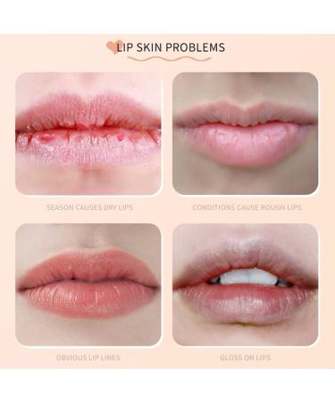4Pcs Fruit Lip Balm Set | Moisturizing & Long Lasting | Natural Organic Lipsticks | Citrus, Peach, Strawberry & Cantaloupe Flavors - Buy Online on GoSupps.com