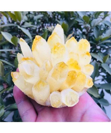 Natural Yellow Ghost Quartz Crystals raw Gemstone Specimen for Home&Office Decoration fengshui (Size : 800-890g) HOMEZHOU (Size : 600-690g) - Buy Online on GoSupps.com