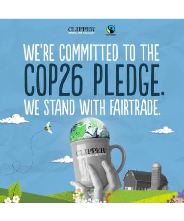 Clipper Organic Pure Green Tea Bags | Box of 40 Teabags | Organic Tea for Home & Office | Eco-Conscious Fair Trade Tea | Natural Unbleached Plant-Based Compostable & Biodegradable Tea Bags - Buy Online on GoSupps.com