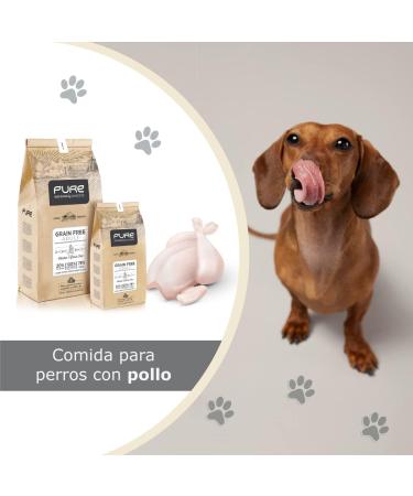 Avantis Pet Pure Grain Free Adult Dog Food for Adult Dogs of All Breeds 2 kg 100% complete and balanced food with Chicken and without cereals for dogs suffering from intolerance and - Buy Online on GoSupps.com