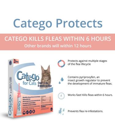 Catego Fast-Acting Flea and Tick Treatment for Cats | Kills Fleas in 6 Hours | Prevents Re-Infestations - Buy Online on GoSupps.com